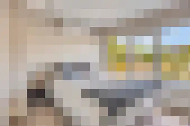 Lijsterlaan 82 Beek en Donk thumbnail 19