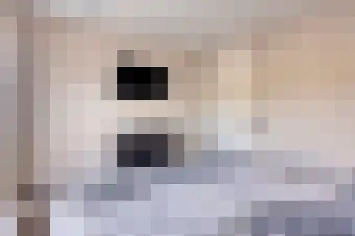 Lijsterlaan 82 Beek en Donk thumbnail 20