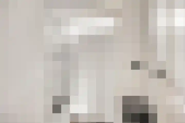 Lijsterlaan 82 Beek en Donk thumbnail 21