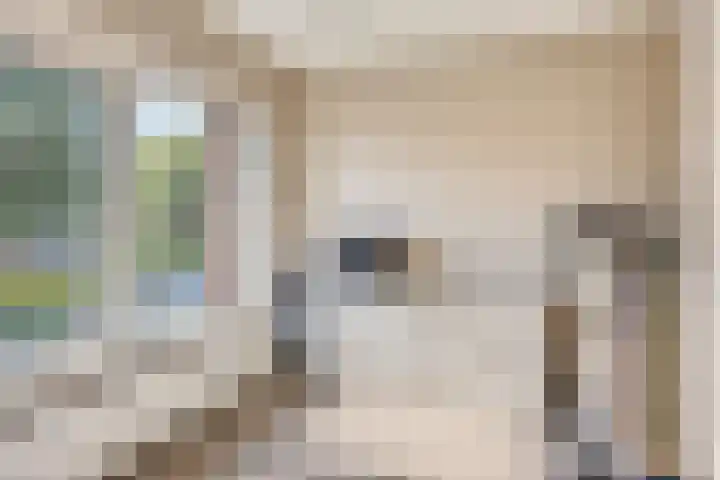 Lijsterlaan 82 Beek en Donk thumbnail 22