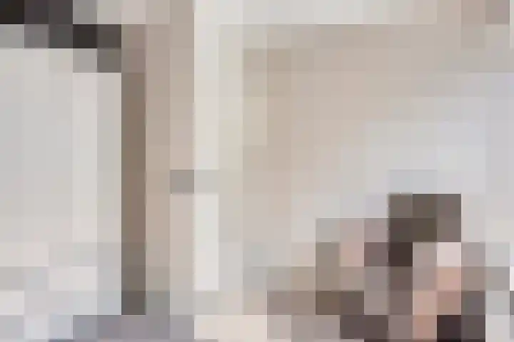 Lijsterlaan 82 Beek en Donk thumbnail 23