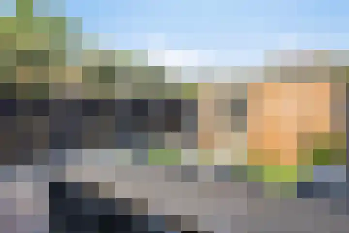 Lijsterlaan 82 Beek en Donk thumbnail 24