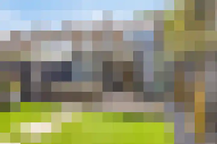 Lijsterlaan 82 Beek en Donk thumbnail 25