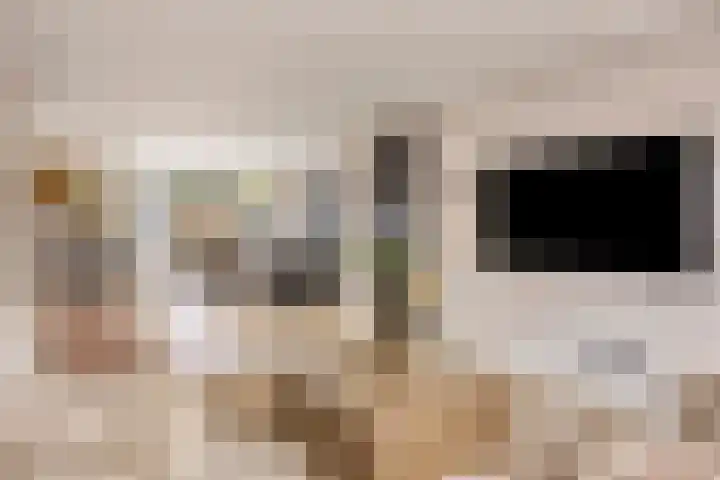 Lijsterlaan 82 Beek en Donk foto 3