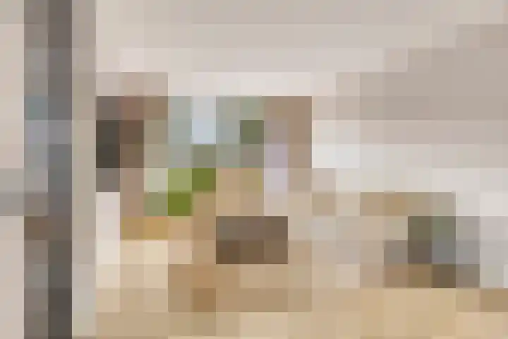 Lijsterlaan 82 Beek en Donk thumbnail 4