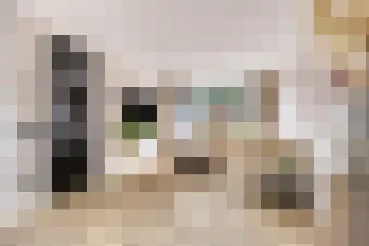 Lijsterlaan 82 Beek en Donk thumbnail 5