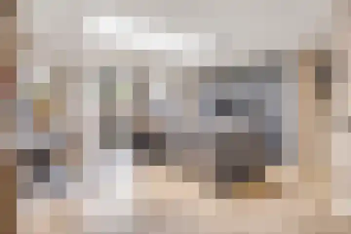 Lijsterlaan 82 Beek en Donk thumbnail 7