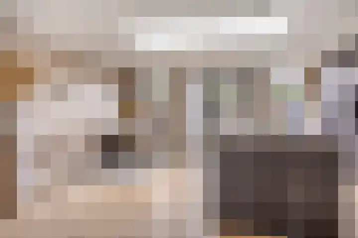 Lijsterlaan 82 Beek en Donk thumbnail 8