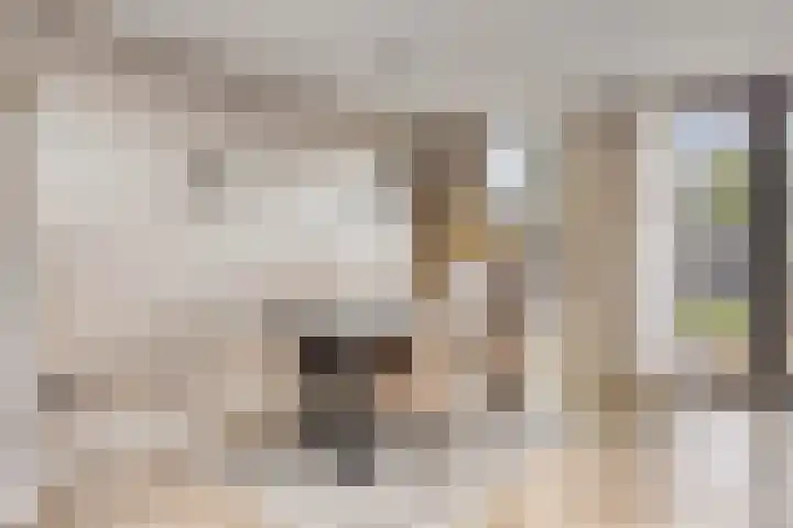 Lijsterlaan 82 Beek en Donk thumbnail 9