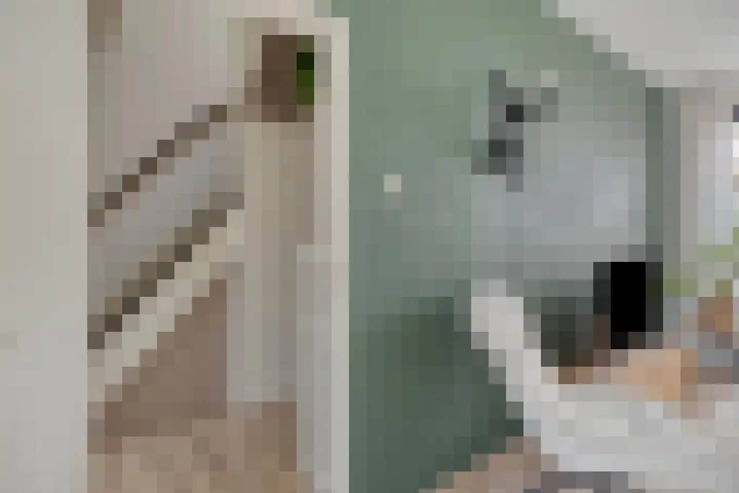 Lijsterlaan 82 Beilen thumbnail 10