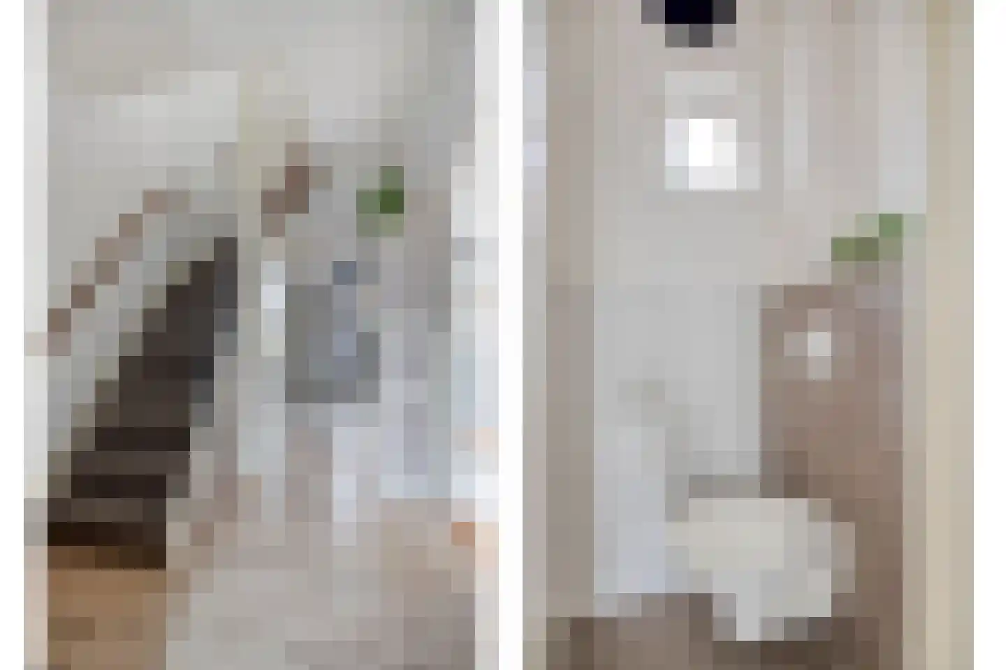 Lijsterlaan 82 Beilen thumbnail 17