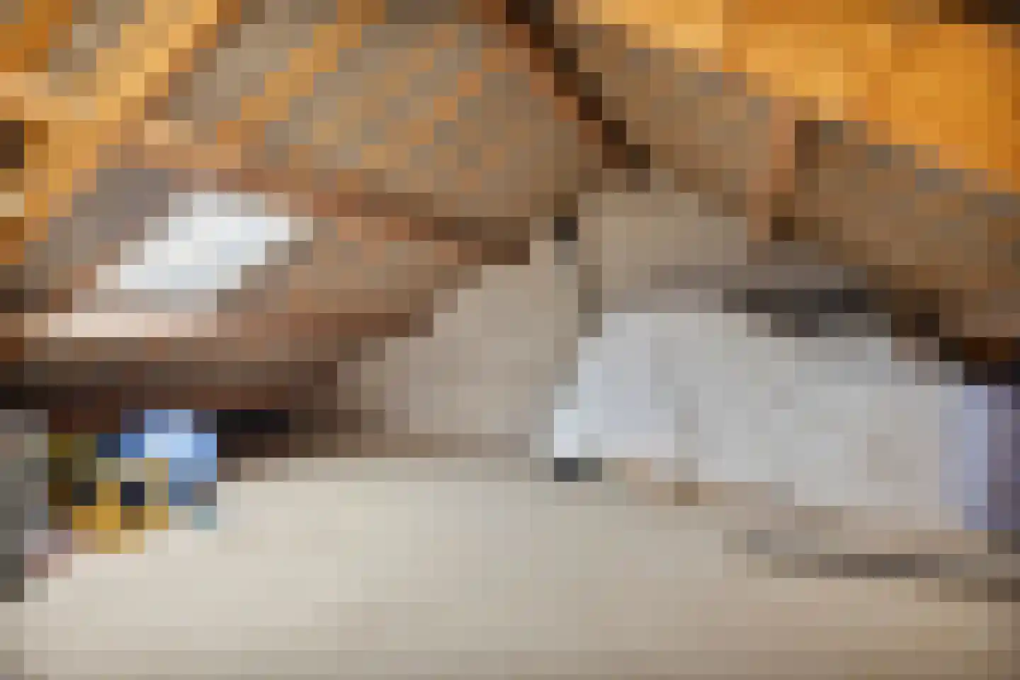Lijsterlaan 82 Beilen thumbnail 27