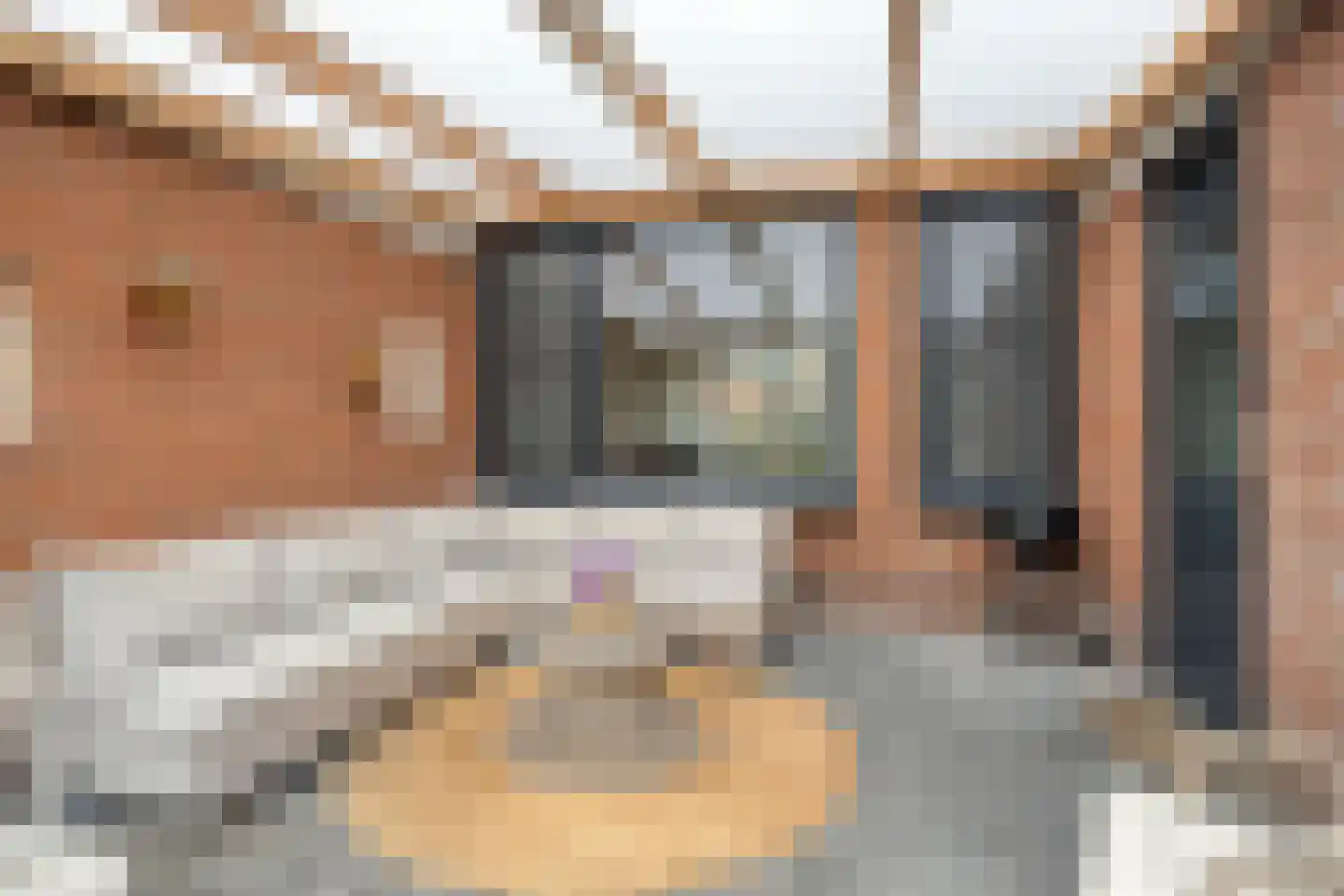 Lijsterlaan 82 Beilen thumbnail 29