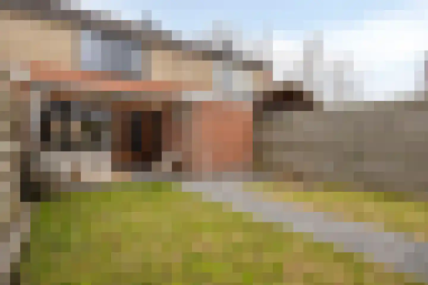 Lijsterlaan 82 Beilen thumbnail 31