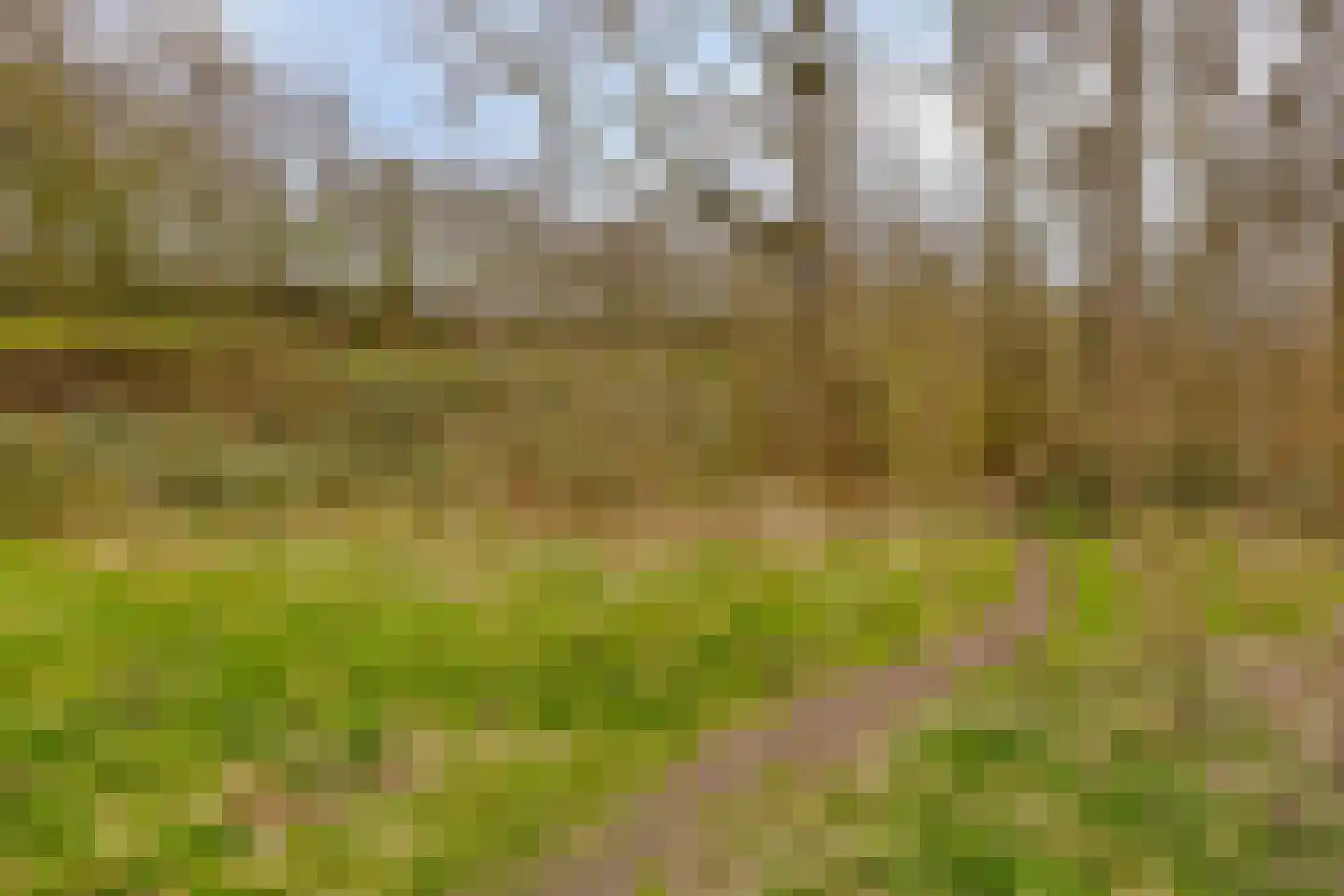 Lijsterlaan 82 Beilen thumbnail 33