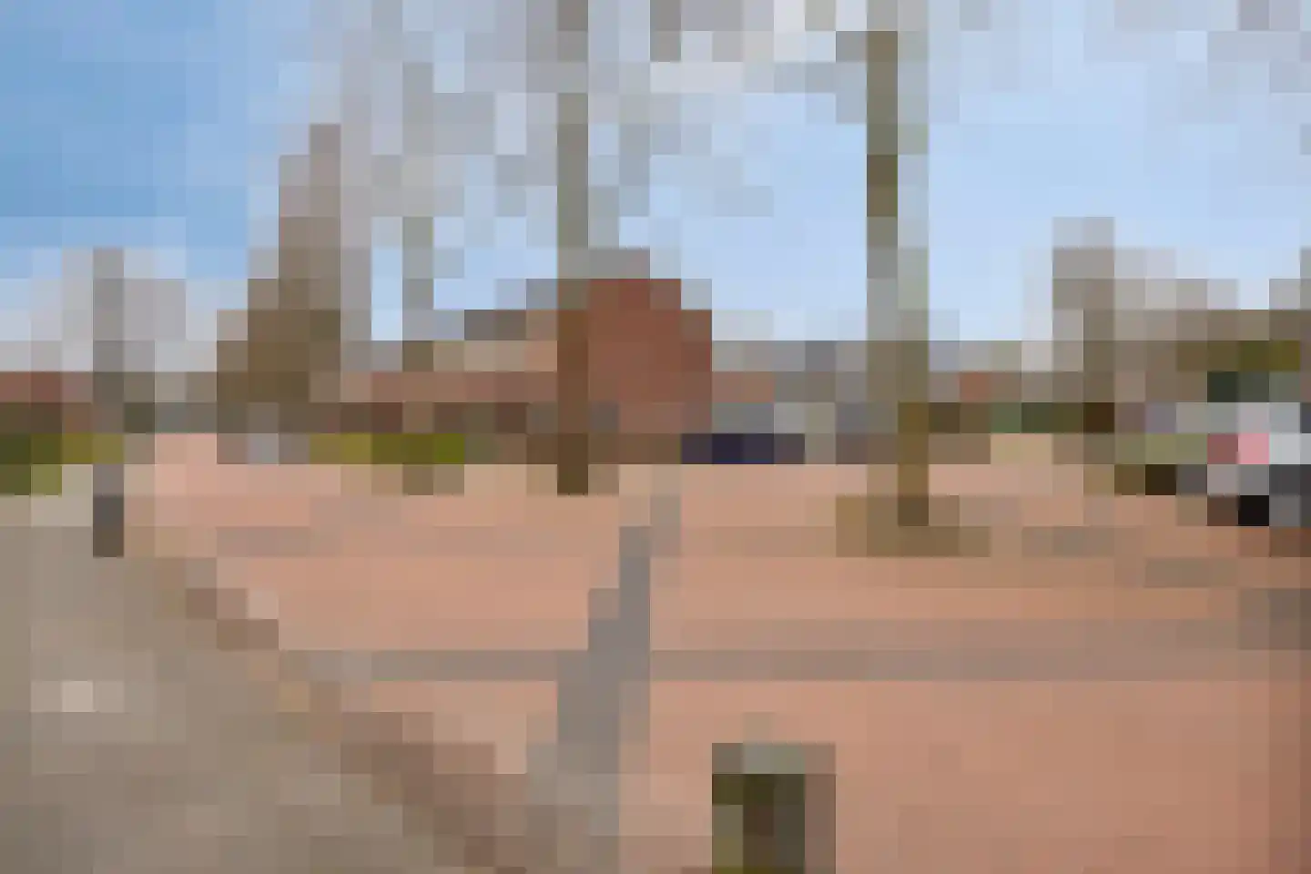 Lijsterlaan 82 Beilen thumbnail 34