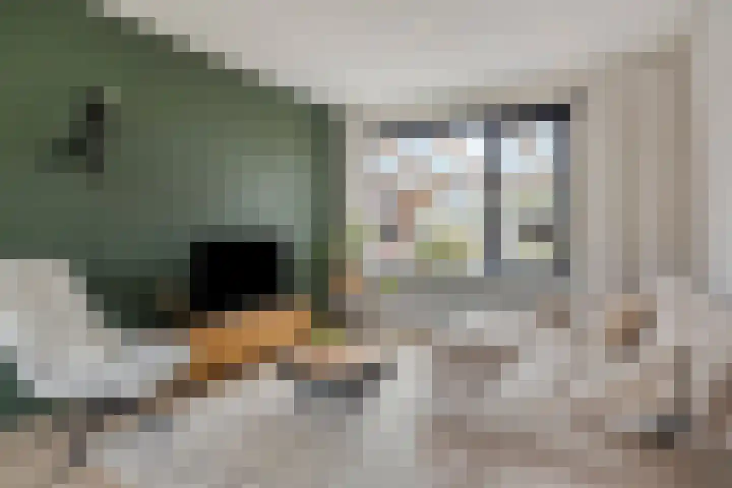 Lijsterlaan 82 Beilen thumbnail 6