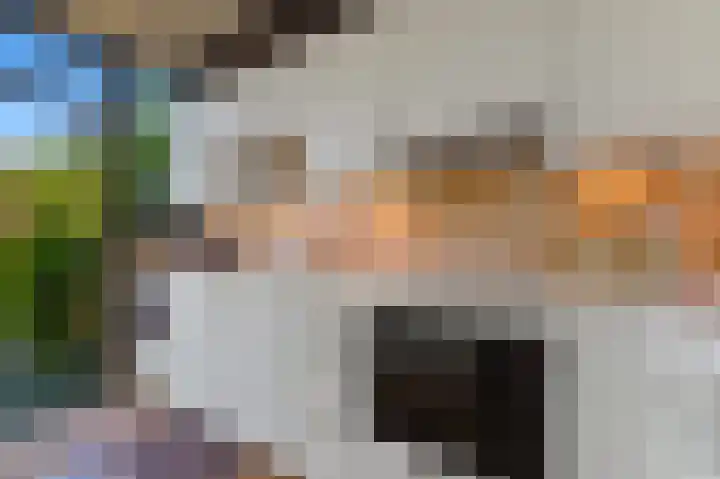 Lijsterlaan 84 Maassluis thumbnail 13