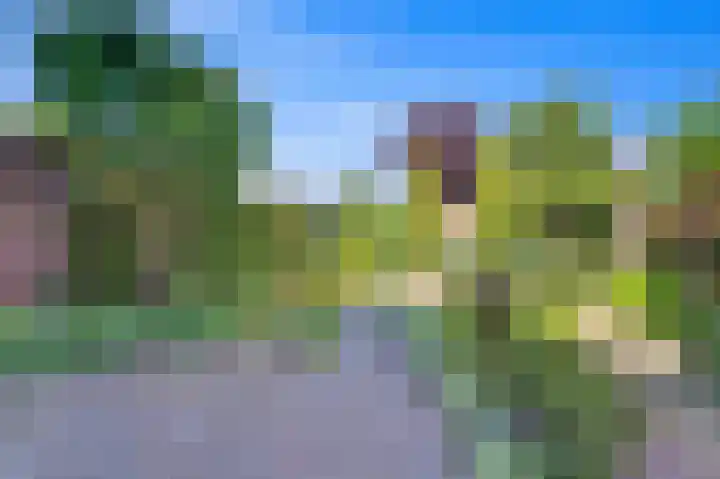 Lijsterlaan 84 Maassluis thumbnail 15