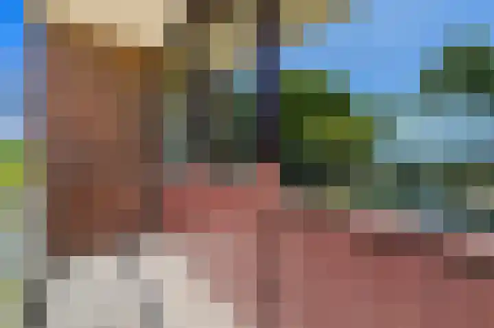 Lijsterlaan 84 Maassluis thumbnail 32