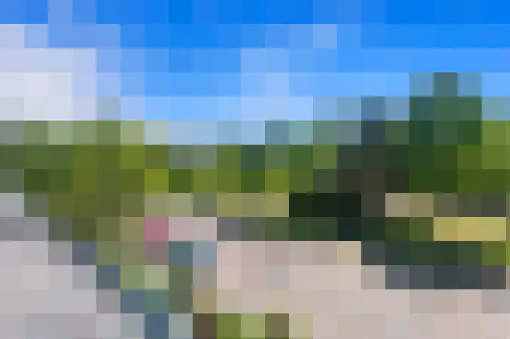Lijsterlaan 84 Maassluis thumbnail 37