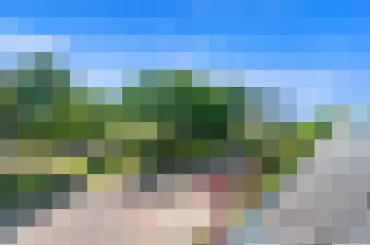 Lijsterlaan 84 Maassluis thumbnail 38