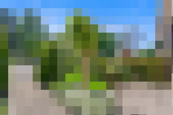 Lijsterlaan 84 Maassluis thumbnail 5