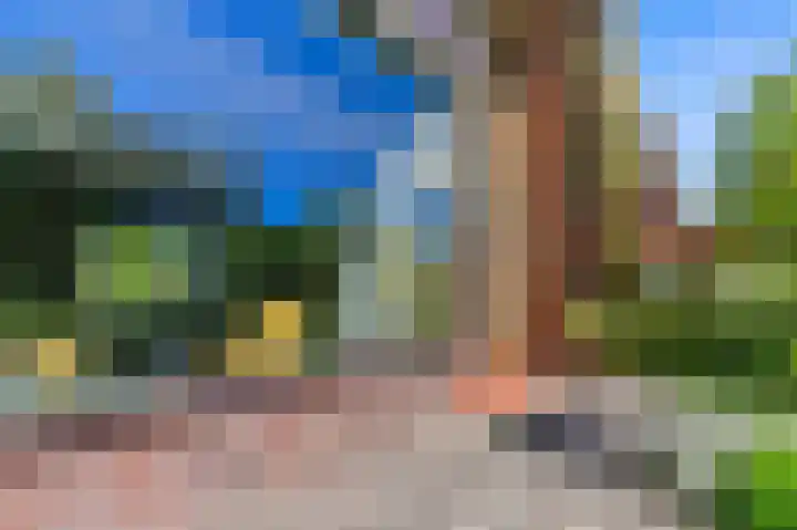 Lijsterlaan 84 Maassluis thumbnail 6