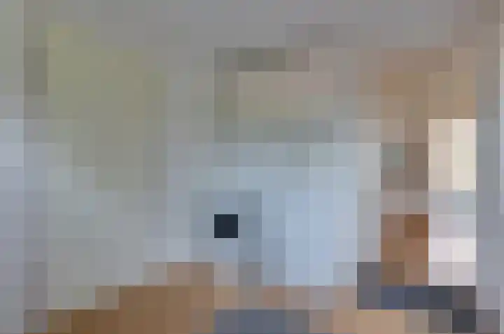 Lijsterlaan 95 Beilen thumbnail 11