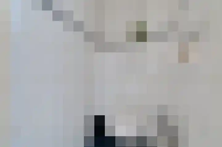 Lijsterlaan 95 Beilen thumbnail 13