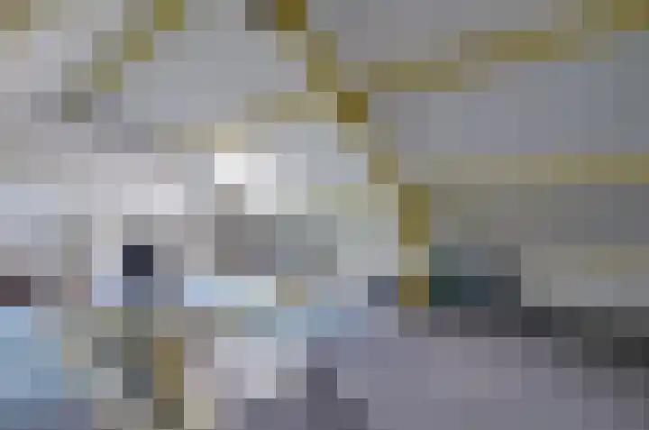 Lijsterlaan 95 Beilen thumbnail 21