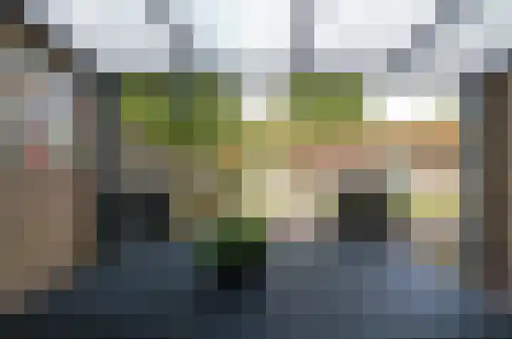 Lijsterlaan 95 Beilen thumbnail 22