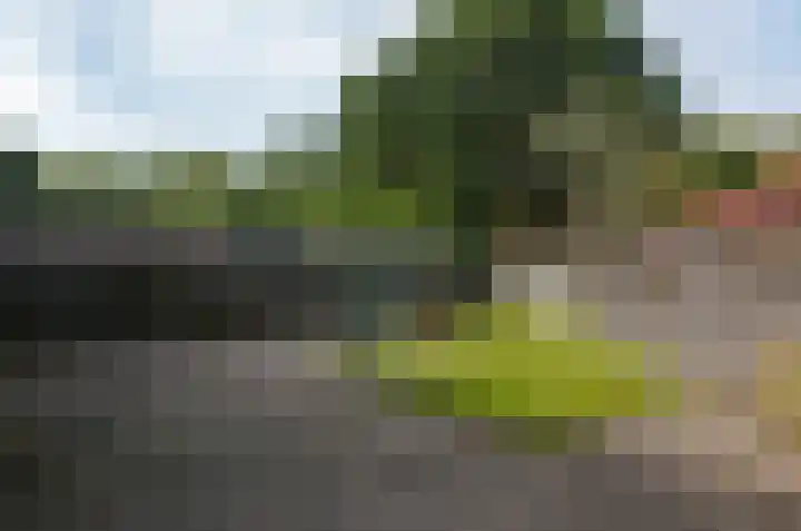 Lijsterlaan 95 Beilen thumbnail 24