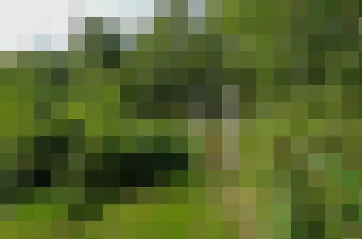Lijsterlaan 95 Beilen thumbnail 4