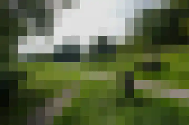 Lijsterlaan 95 Beilen thumbnail 5