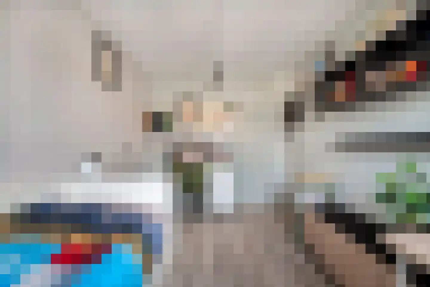 Lijsterplantsoen 5 Anna Paulowna thumbnail 15