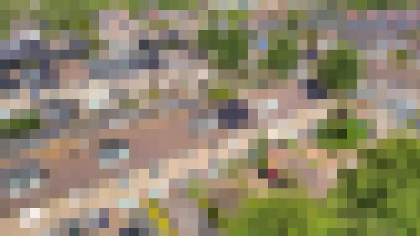 Lijsterplantsoen 5 Anna Paulowna thumbnail 26