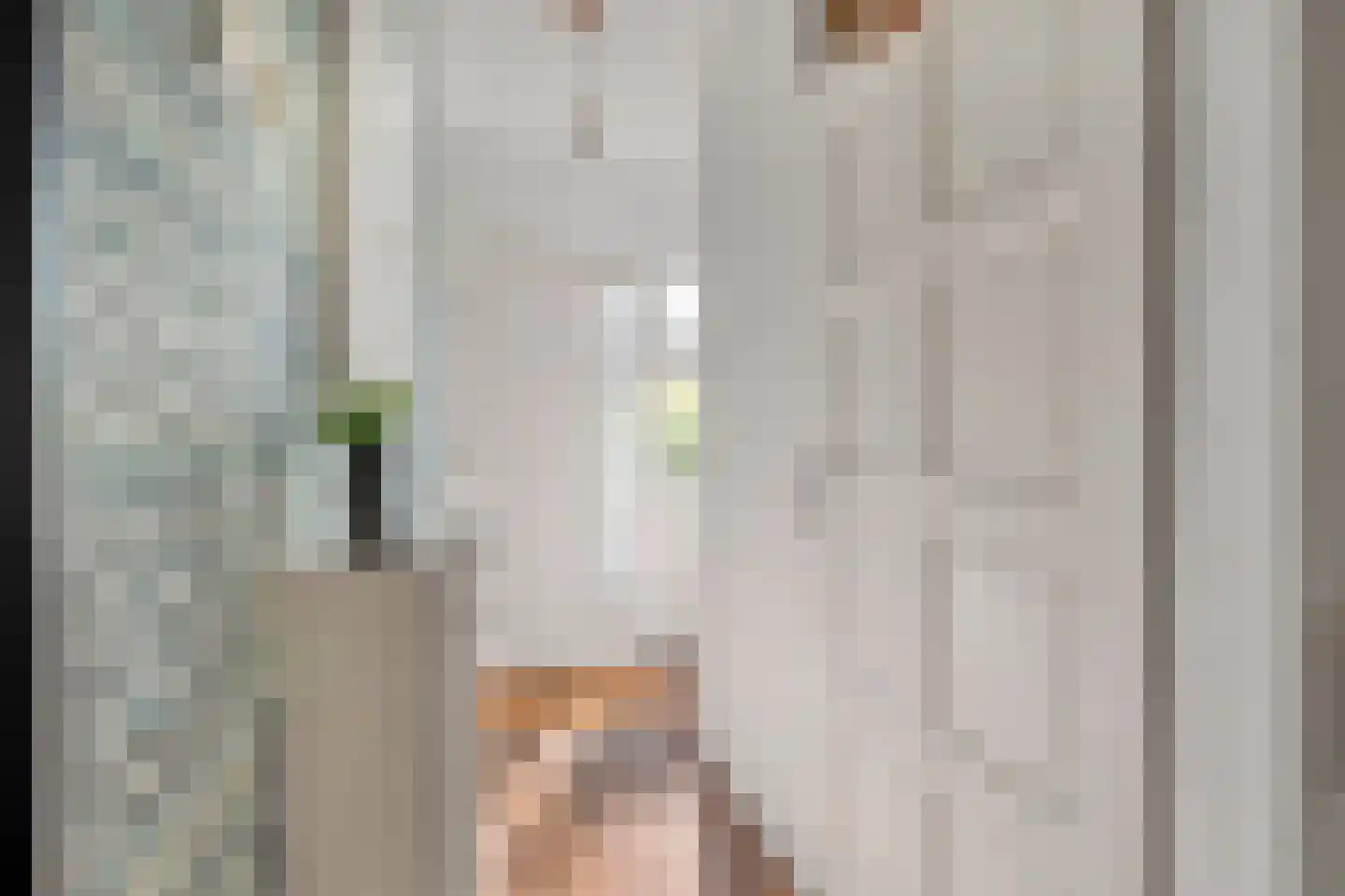 Lijsterplantsoen 5 Anna Paulowna thumbnail 5