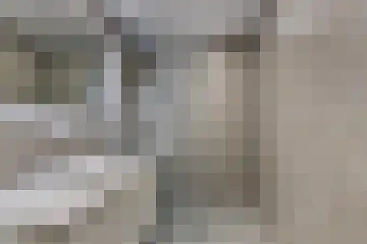 Lijstersingel 111 Capelle aan den IJssel thumbnail 18