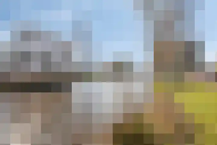 Lijstersingel 111 Capelle aan den IJssel thumbnail 24