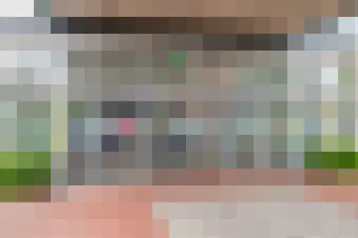 Lijstersingel 111 Capelle aan den IJssel thumbnail 27