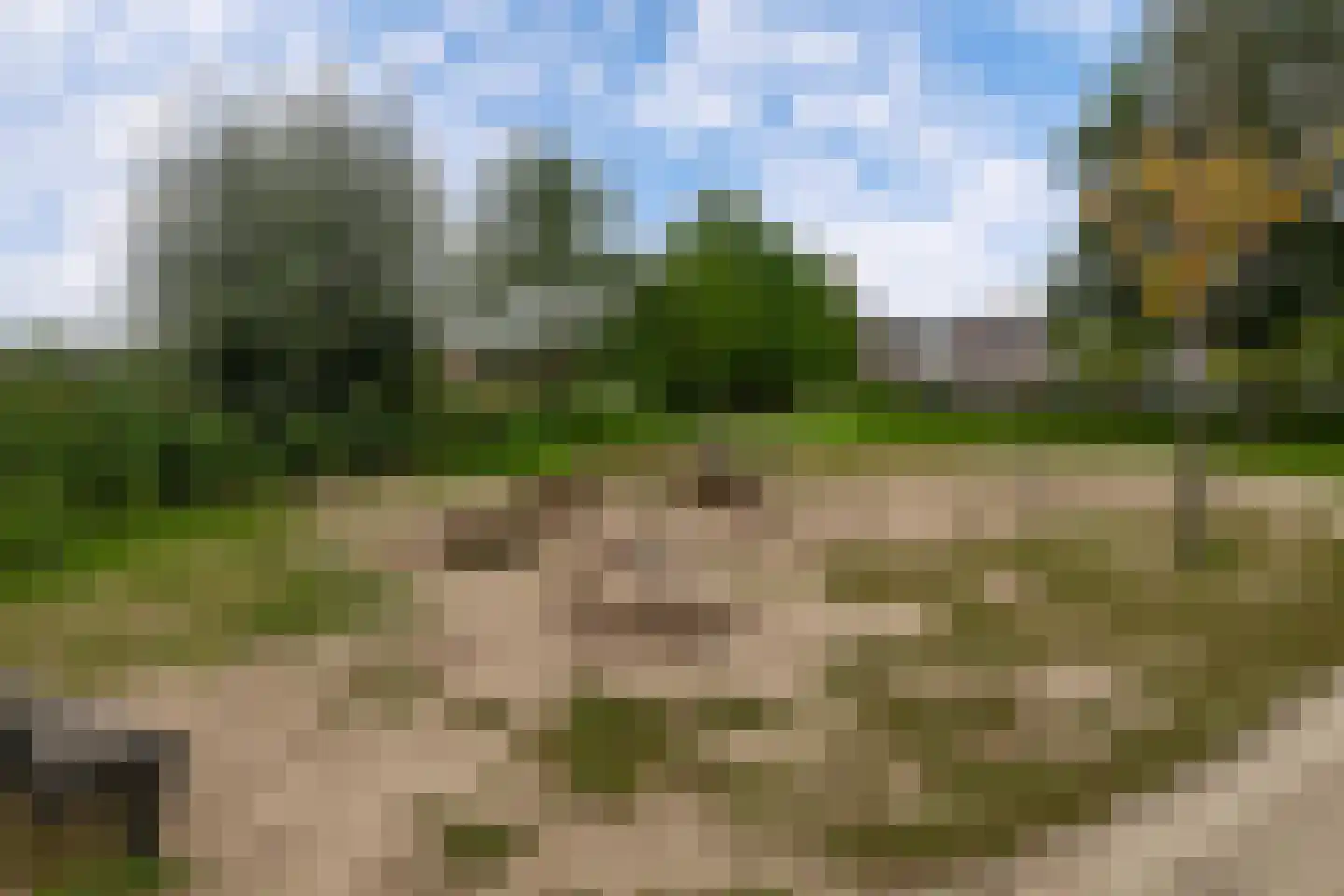 Lijstersingel 51 Capelle aan den IJssel thumbnail 34