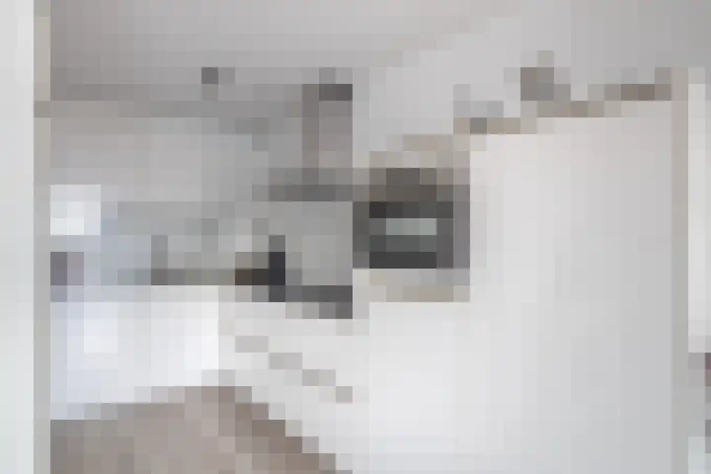 Lijstersingel 51 Capelle aan den IJssel thumbnail 4