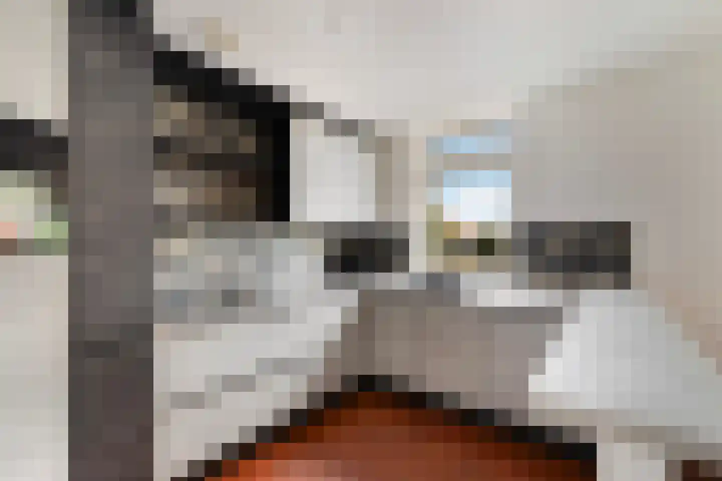 Lijstersingel 59 Capelle aan den IJssel thumbnail 19