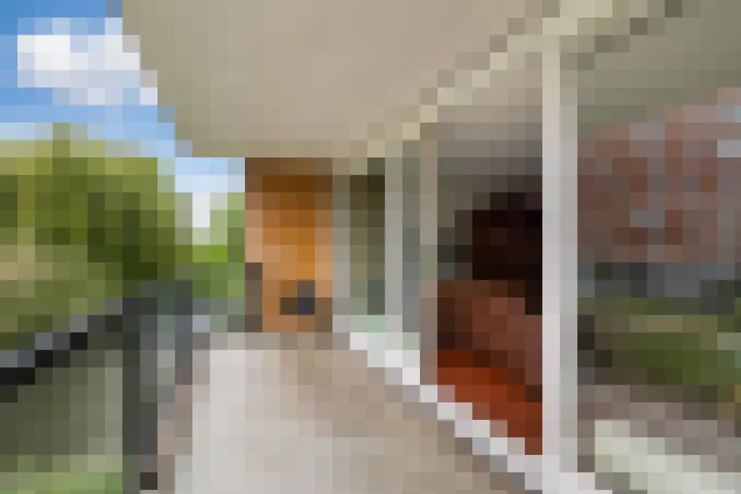 Lijstersingel 59 Capelle aan den IJssel thumbnail 22