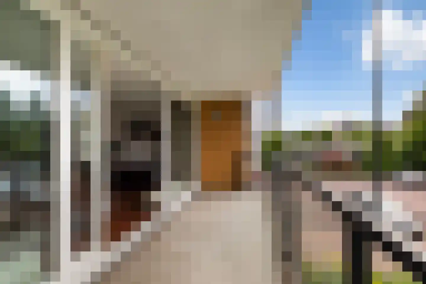 Lijstersingel 59 Capelle aan den IJssel thumbnail 23