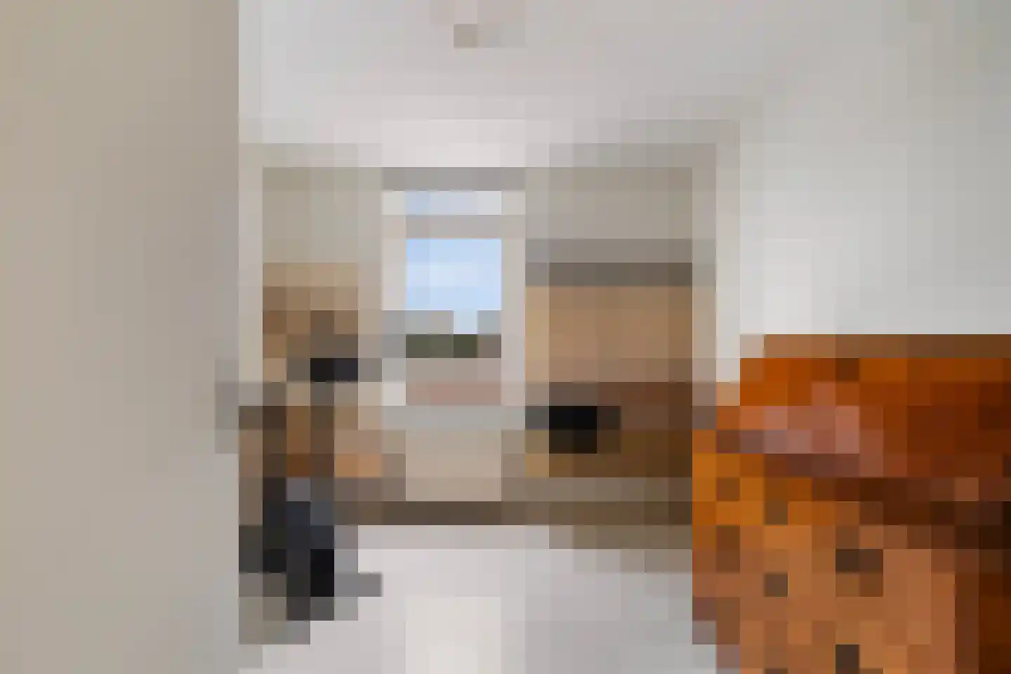 Lijstersingel 59 Capelle aan den IJssel thumbnail 27