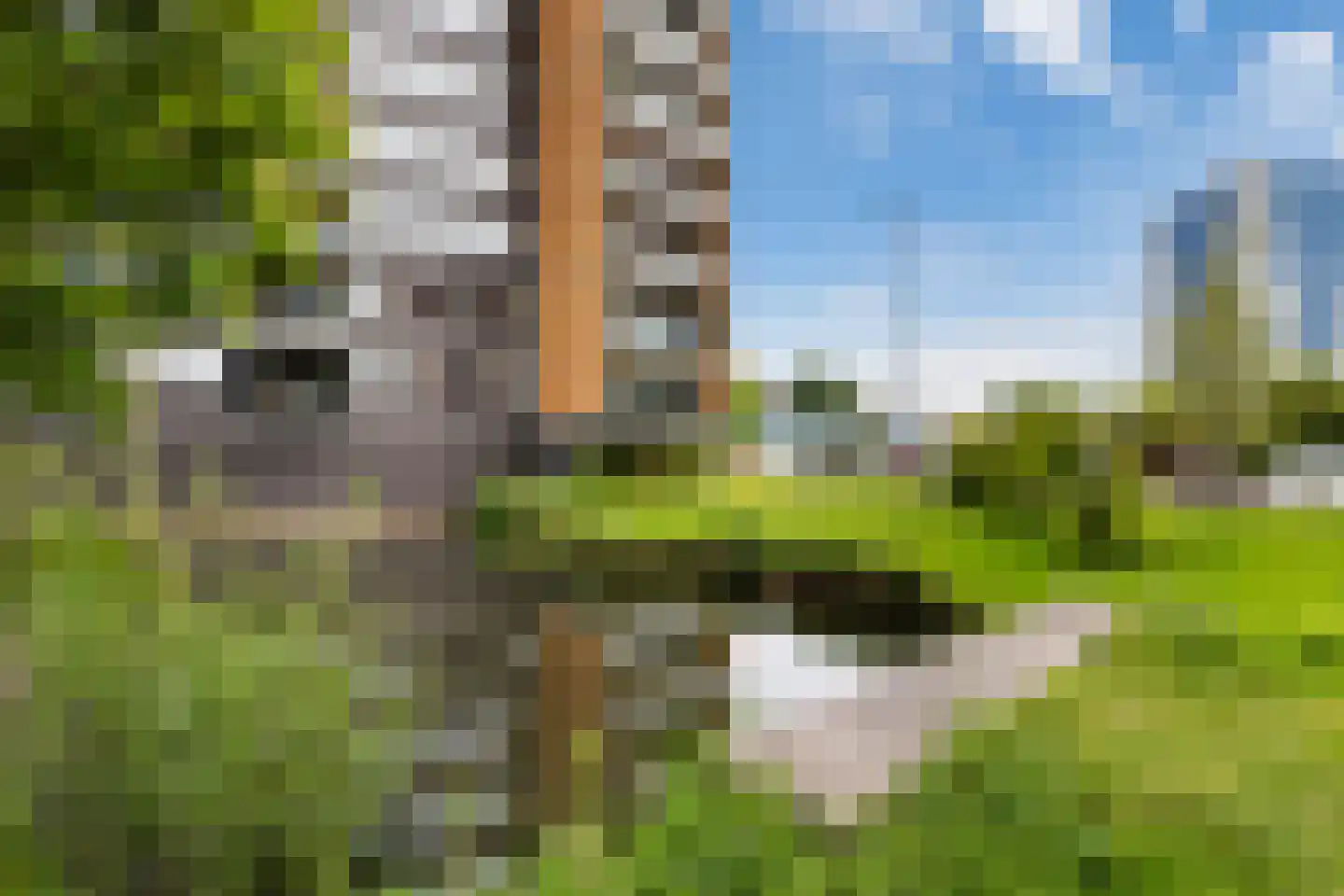 Lijstersingel 59 Capelle aan den IJssel thumbnail 32