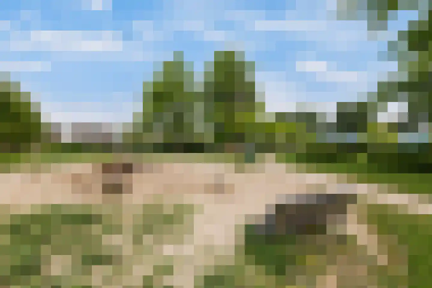 Lijstersingel 59 Capelle aan den IJssel thumbnail 37