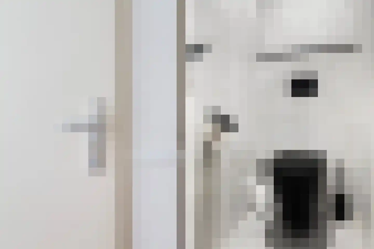 Lijstersingel 59 Capelle aan den IJssel thumbnail 6